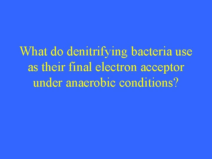 What do denitrifying bacteria use as their final electron acceptor under anaerobic conditions? 