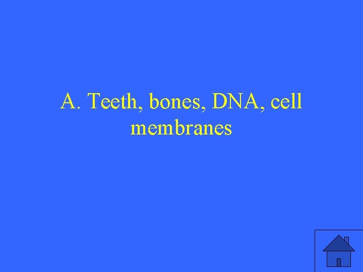 A. Teeth, bones, DNA, cell membranes 