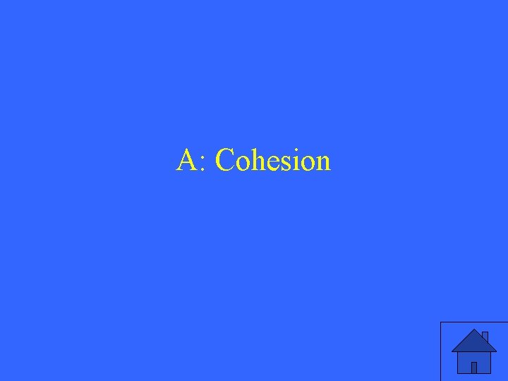A: Cohesion 