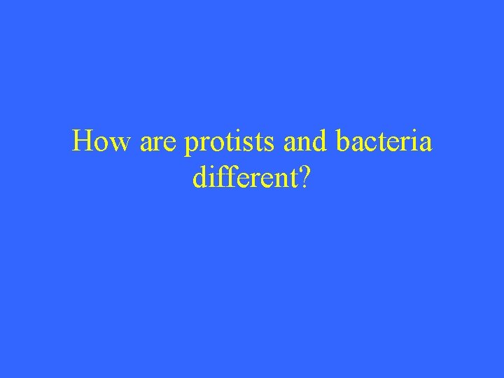 How are protists and bacteria different? 