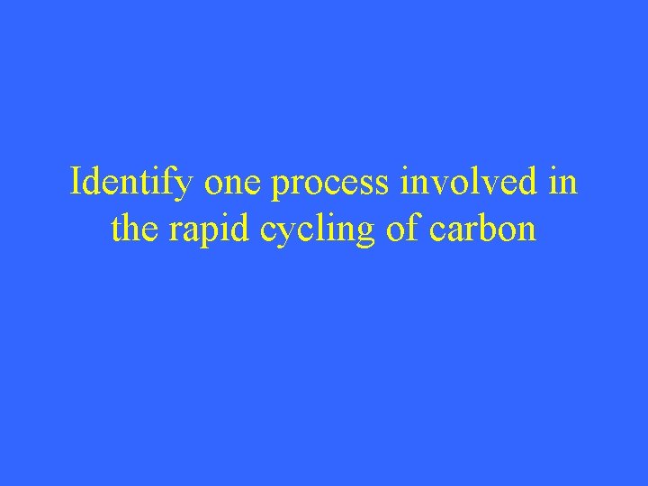 Identify one process involved in the rapid cycling of carbon 