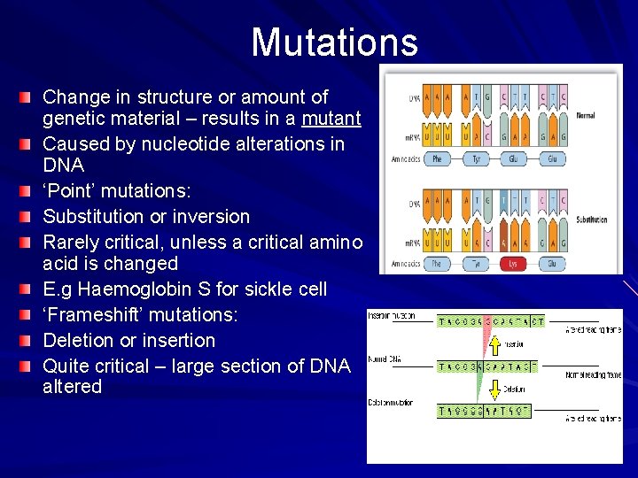 Mutations Change in structure or amount of genetic material – results in a mutant