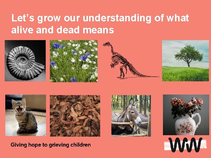 Let’s grow our understanding of what alive and dead means 