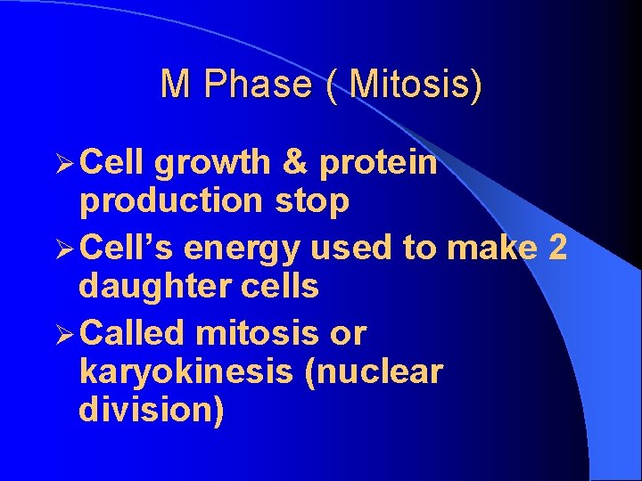 M Phase ( Mitosis) Ø Cell growth & protein production stop Ø Cell’s energy