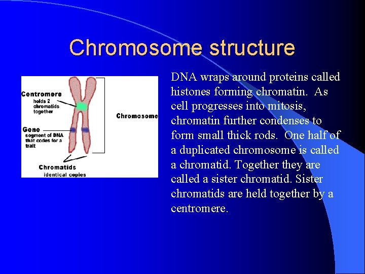 Chromosome structure DNA wraps around proteins called histones forming chromatin. As cell progresses into