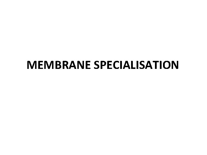 MEMBRANE SPECIALISATION MEMBRANE SPECIALISATION