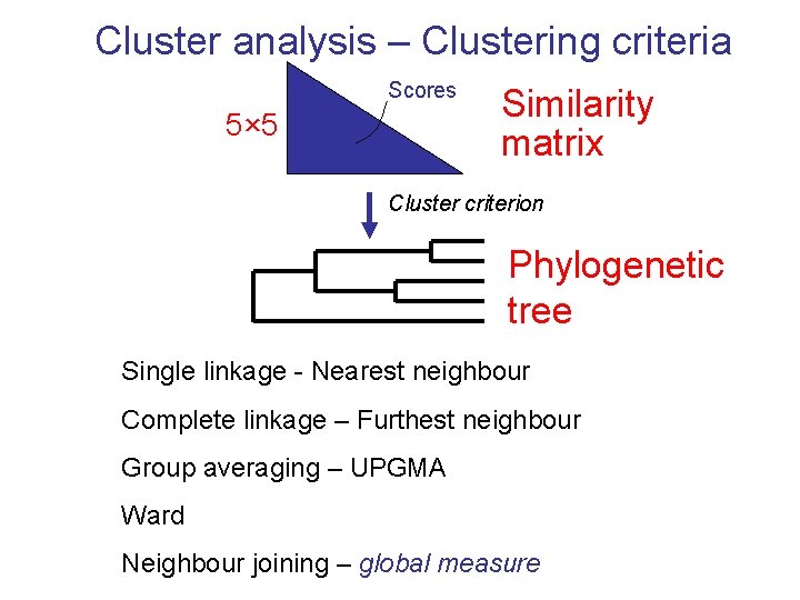 Cluster analysis – Clustering criteria Scores 5× 5 Similarity matrix Cluster criterion Phylogenetic tree