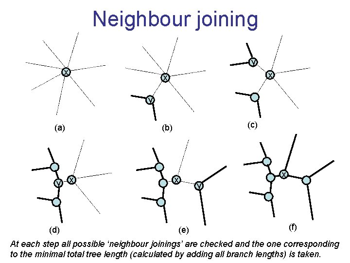 Neighbour joining y x x x y (a) y (d) (c) (b) x x