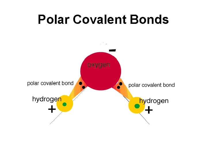 Polar Covalent Bonds Polar Covalent Bonds