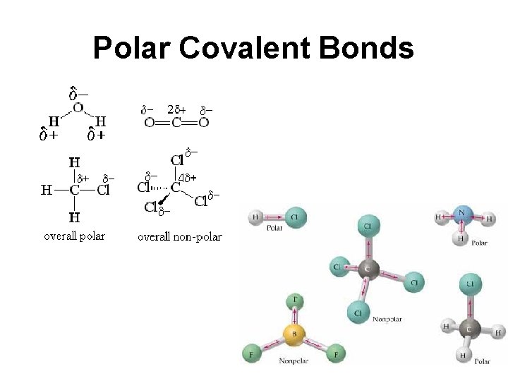 Polar Covalent Bonds Polar Covalent Bonds