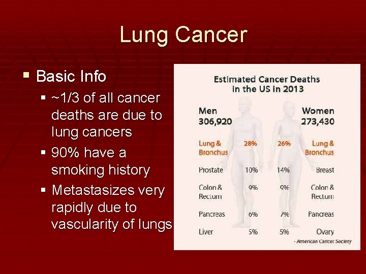 Lung Cancer Basic Info ~1/3 of all cancer deaths are due to lung cancers