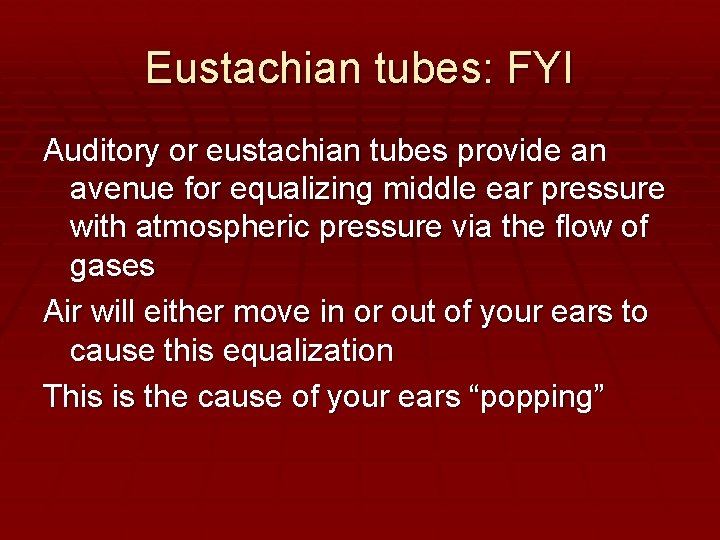 Eustachian tubes: FYI Auditory or eustachian tubes provide an avenue for equalizing middle ear