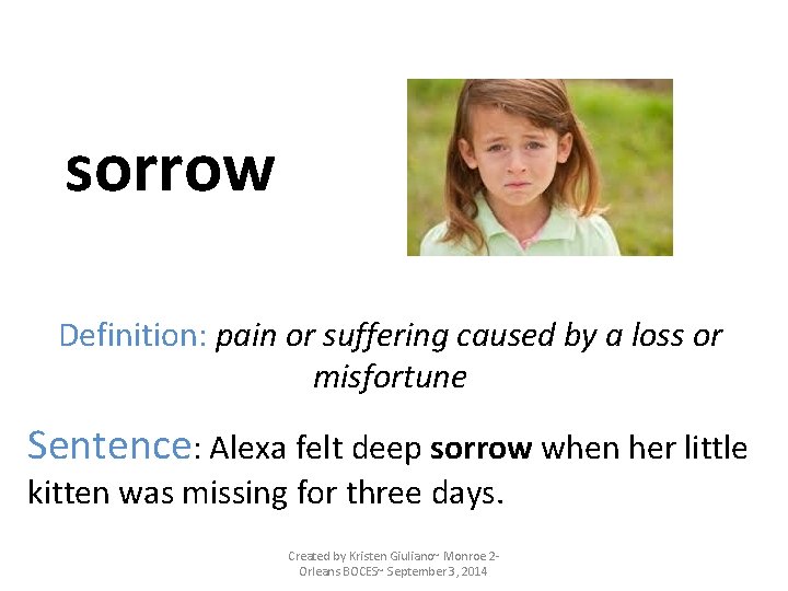 sorrow Definition: pain or suffering caused by a loss or misfortune Sentence: Alexa felt