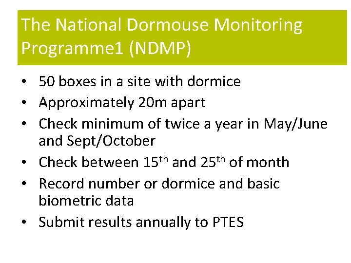 The National Dormouse Monitoring Programme 1 (NDMP) • 50 boxes in a site with