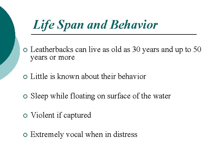 Life Span and Behavior ¡ Leatherbacks can live as old as 30 years and