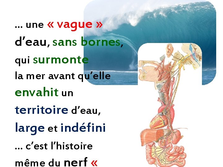 … une « vague » d’eau, sans bornes, qui surmonte la mer avant qu’elle