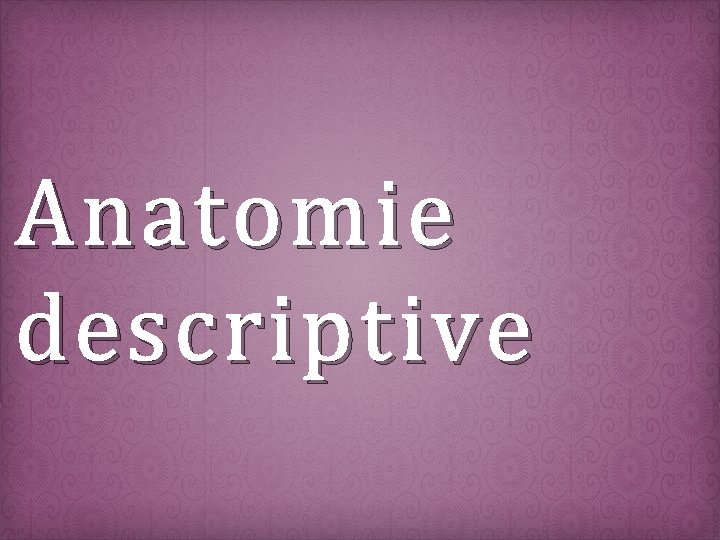 Anatomie descriptive 