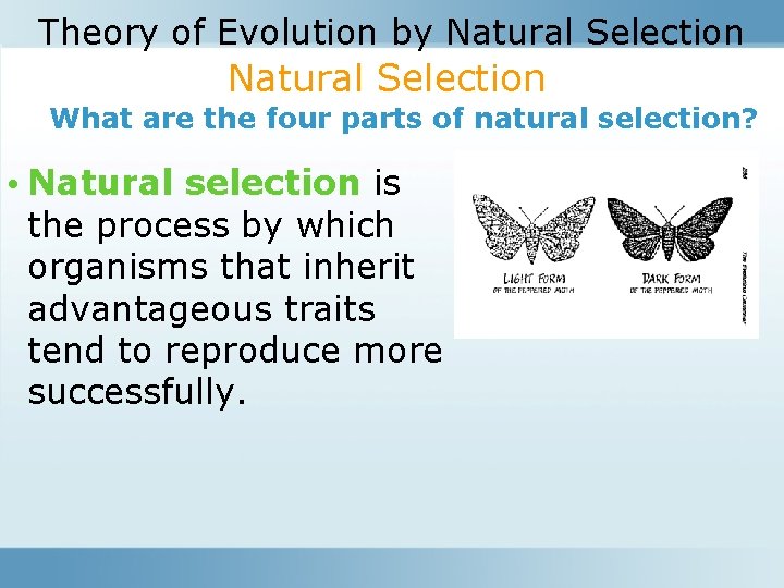 Theory of Evolution by Natural Selection What are the four parts of natural selection?