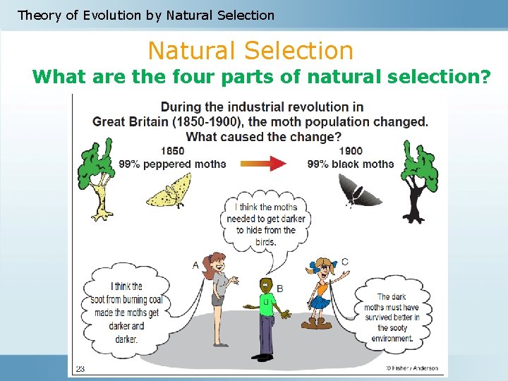 Theory of Evolution by Natural Selection What are the four parts of natural selection?