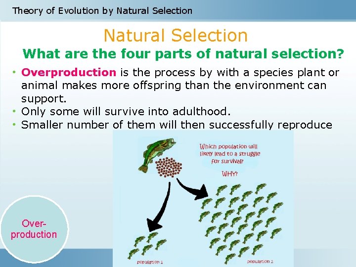 Theory of Evolution by Natural Selection What are the four parts of natural selection?