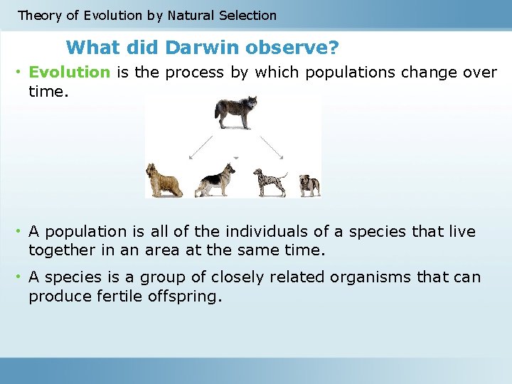 Theory of Evolution by Natural Selection What did Darwin observe? • Evolution is the