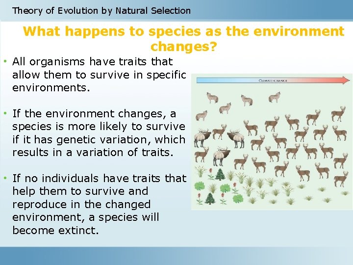 Theory of Evolution by Natural Selection What happens to species as the environment changes?
