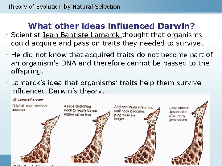 Theory of Evolution by Natural Selection What other ideas influenced Darwin? • Scientist Jean