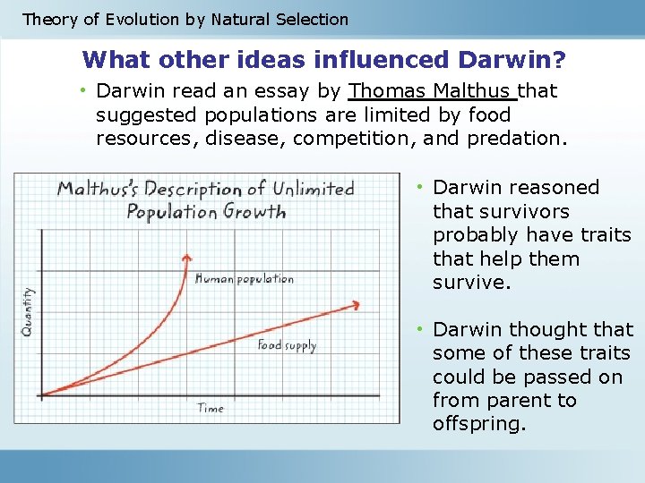 Theory of Evolution by Natural Selection What other ideas influenced Darwin? • Darwin read