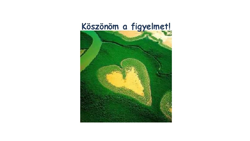 Köszönöm a figyelmet! 