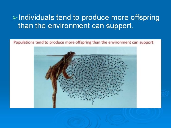 ➢ Individuals tend to produce more offspring than the environment can support.  ➢ Individuals tend to produce more offspring than the environment can support.