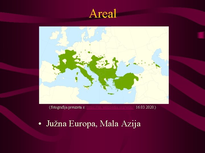 Areal (fotografija preuzeta s: https: //en. wikipedia. org/wiki/ 16. 03. 2020. ) • Južna
