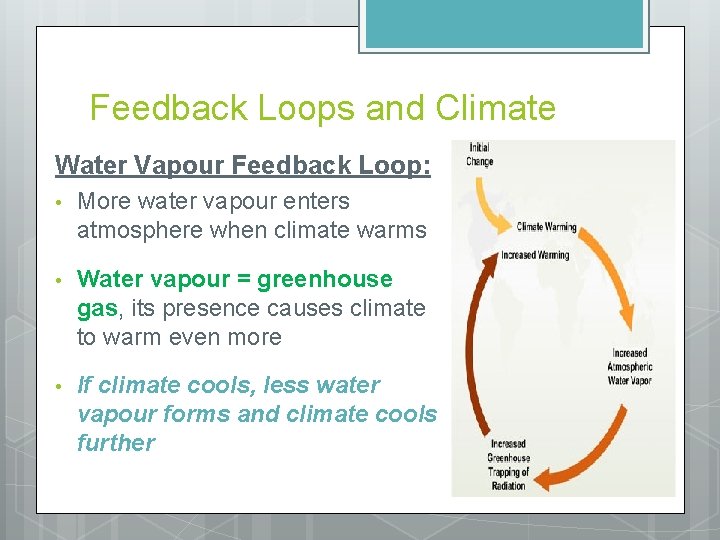 Feedback Loops and Climate Water Vapour Feedback Loop: • More water vapour enters atmosphere