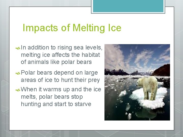Impacts of Melting Ice In addition to rising sea levels, melting ice affects the