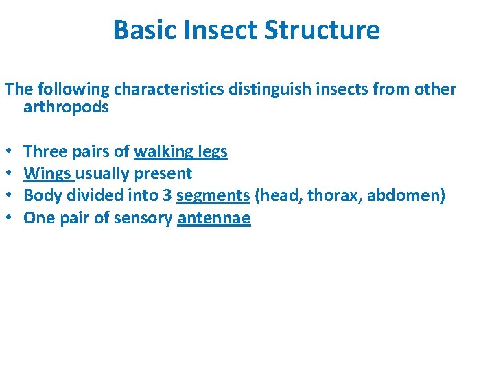 Basic Insect Structure The following characteristics distinguish insects from other arthropods • • Three