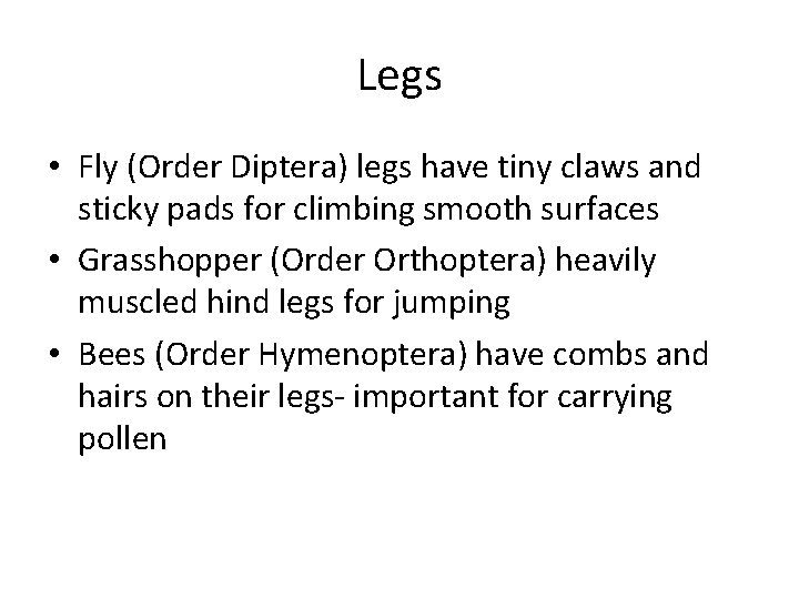 Legs • Fly (Order Diptera) legs have tiny claws and sticky pads for climbing