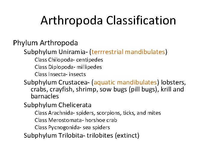Arthropoda Classification Phylum Arthropoda Subphylum Uniramia- (terrrestrial mandibulates) Class Chilopoda- centipedes Class Diplopoda- millipedes