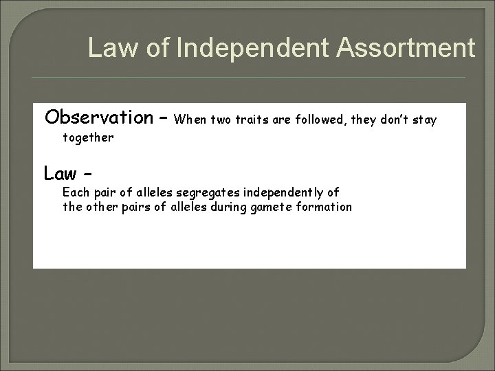 Law of Independent Assortment Observation – When two traits are followed, they don’t stay Law of Independent Assortment Observation – When two traits are followed, they don’t stay