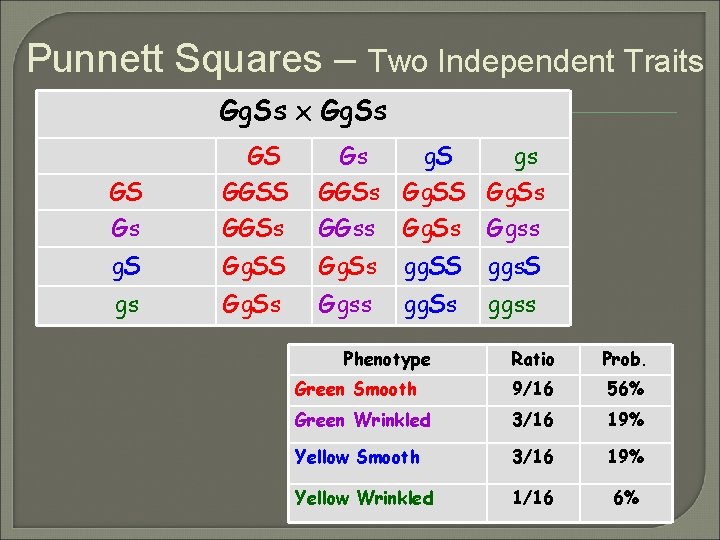 Punnett Squares – Two Independent Traits Gg. Ss x Gg. Ss GS GGSS GGSs Punnett Squares – Two Independent Traits Gg. Ss x Gg. Ss GS GGSS GGSs