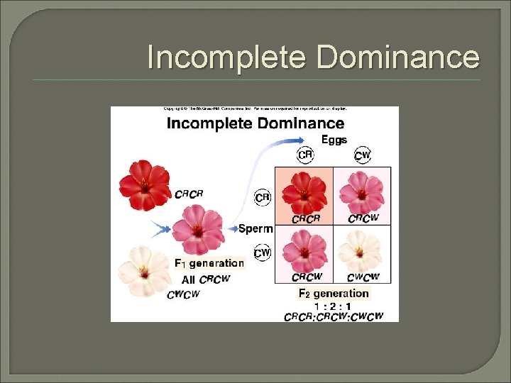 Incomplete Dominance Incomplete Dominance
