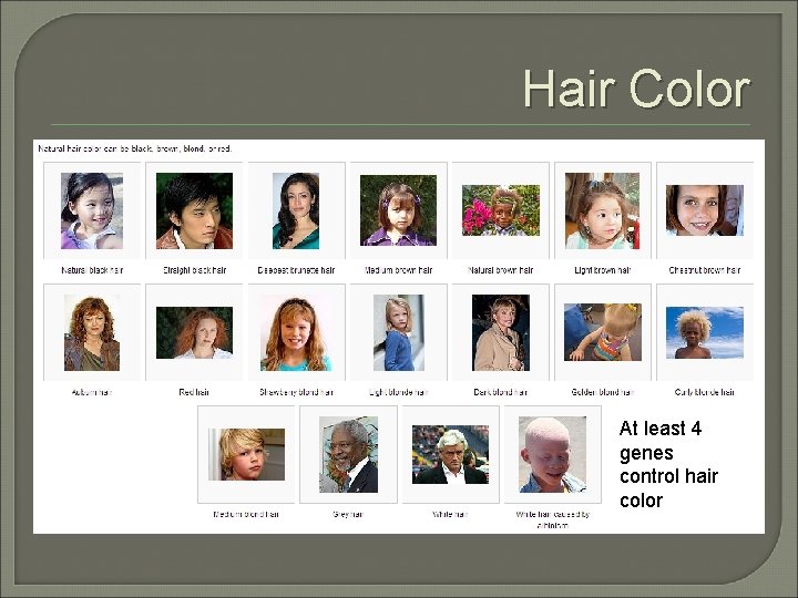 Hair Color At least 4 genes control hair color Hair Color At least 4 genes control hair color