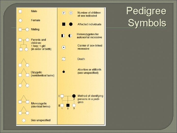 Pedigree Symbols Pedigree Symbols