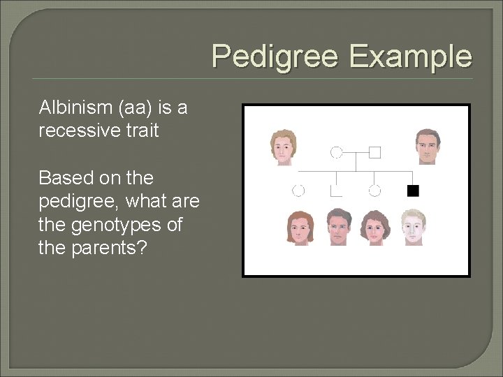 Pedigree Example Albinism (aa) is a recessive trait Based on the pedigree, what are Pedigree Example Albinism (aa) is a recessive trait Based on the pedigree, what are