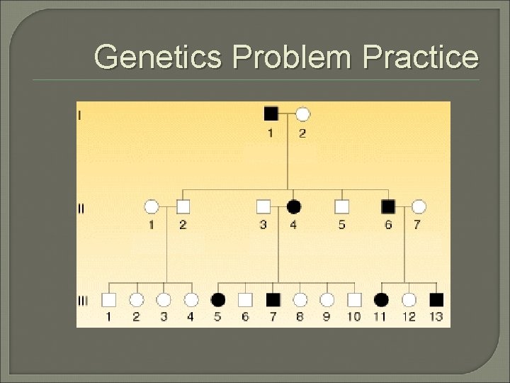 Genetics Problem Practice Genetics Problem Practice