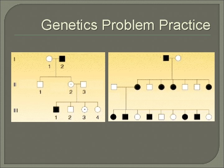 Genetics Problem Practice Genetics Problem Practice