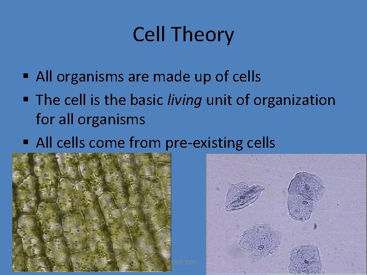 Cell Theory § All organisms are made up of cells § The cell is