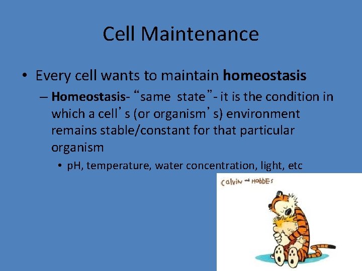 Cell Maintenance • Every cell wants to maintain homeostasis – Homeostasis- “same state”- it