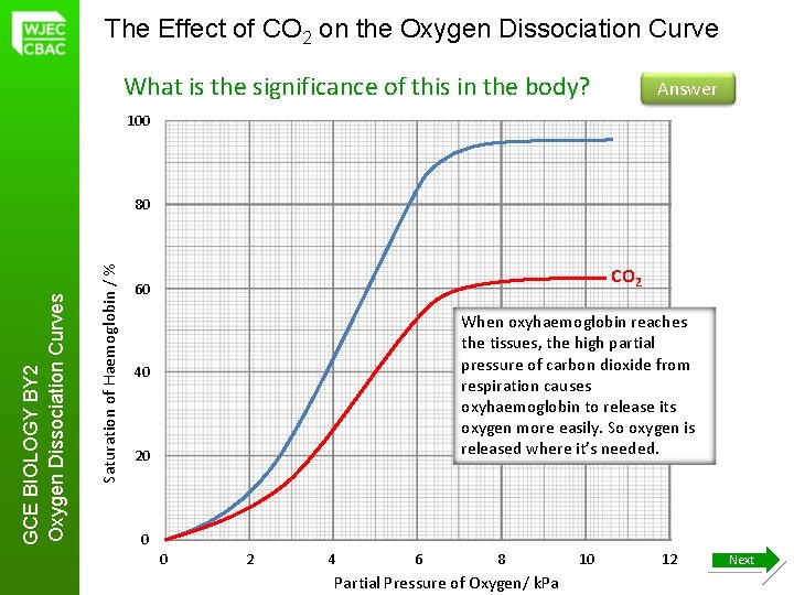 The Effect of CO 2 on the Oxygen Dissociation Curve What is the significance