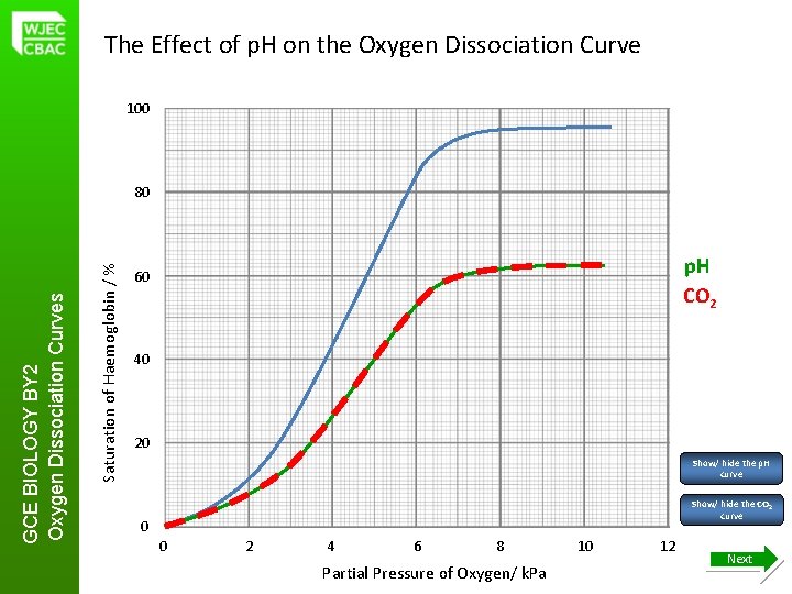 The Effect of p. H on the Oxygen Dissociation Curve 100 Saturation of Haemoglobin