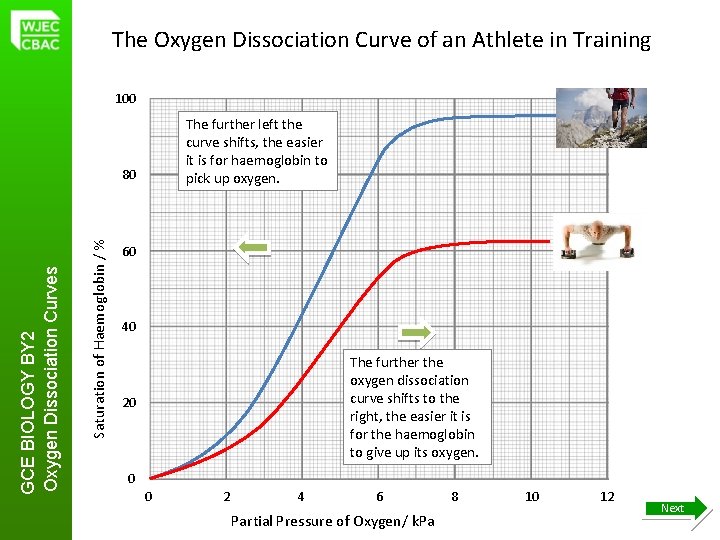 The Oxygen Dissociation Curve of an Athlete in Training 100 The further left the