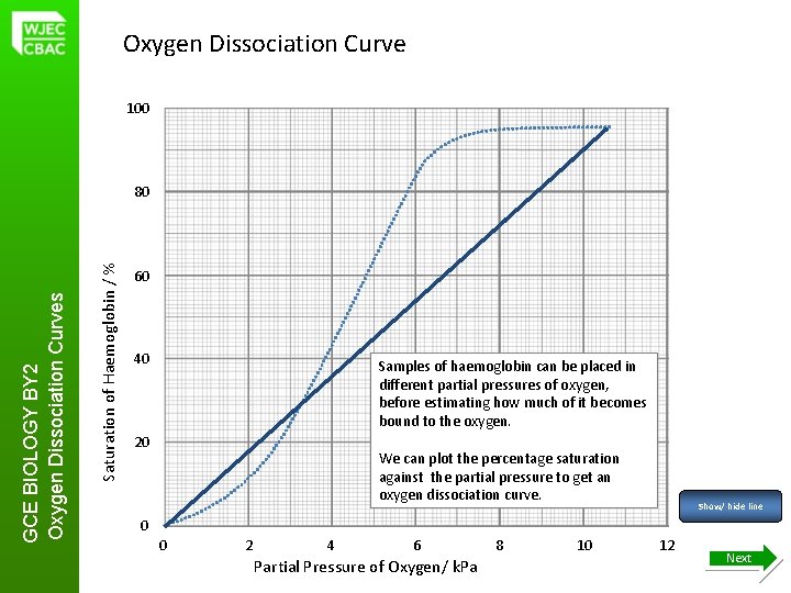 Oxygen Dissociation Curve 100 Saturation of Haemoglobin / % GCE BIOLOGY BY 2 Oxygen